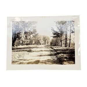 Vtg Beautiful Nature Trail Original Monochrome Photography Found Snapshot